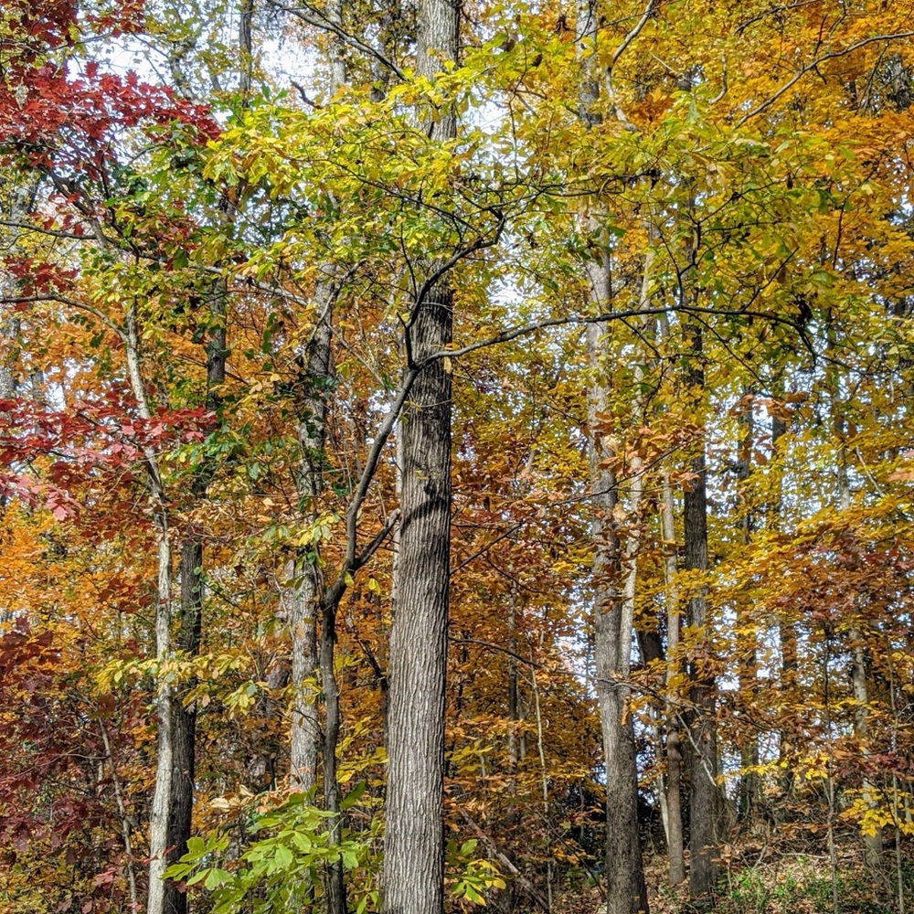 Meet your Posher, Mandie